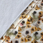 Parson Russell Terrier Full Face Blanket