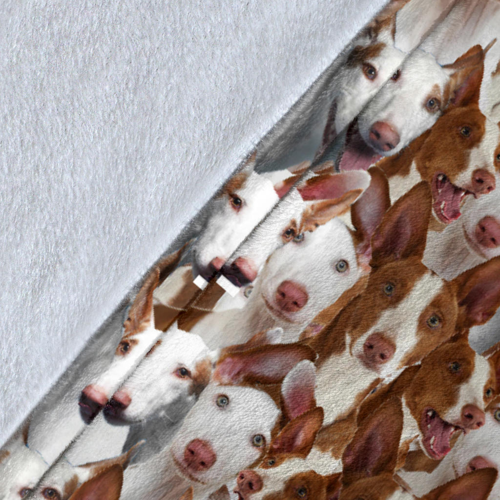 Ibizan Hound Full Face Blanket