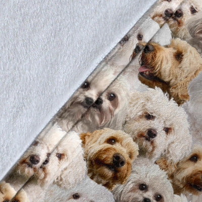Bolognese Dog Full Face Blanket
