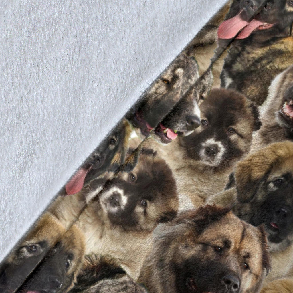 Caucasian Shepherd Dog Full Face Blanket